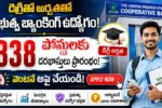APCOB Recruitment 2026